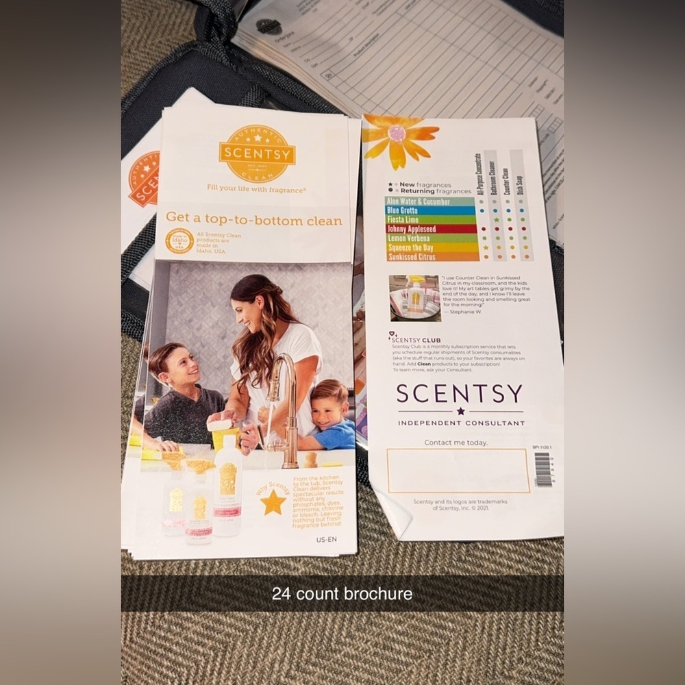 BUNDLE Scentsy Home Consultant Representative Gray Organizer Tote Bag/Brochures - Picture 7 of 8
